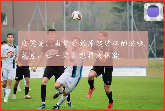厄德高：当你尝到捧起奖杯的滋味之后，你一定会想再次体验